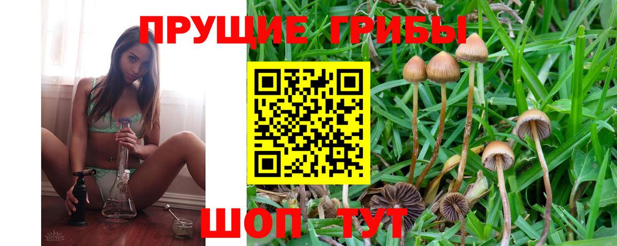 Галлюциногенные грибы Magic Shrooms  Вход с VPN  Ессентуки 